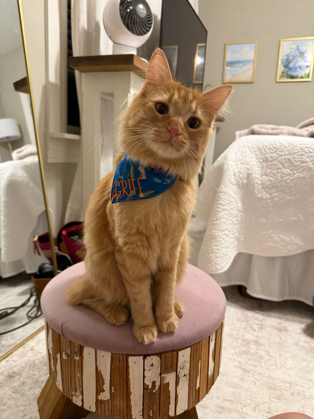 Fishing Buddy Pet Bandana
