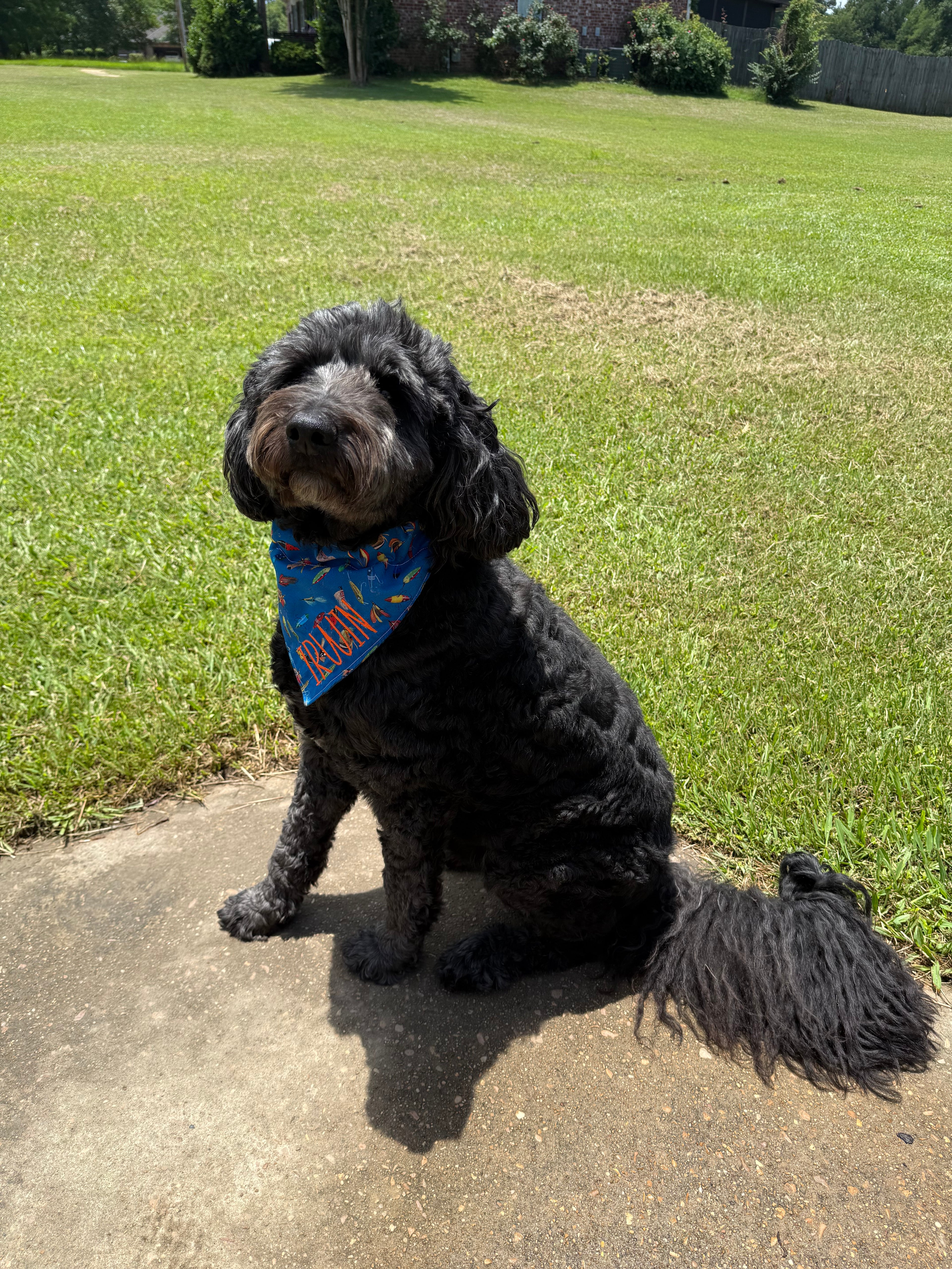 Fishing Buddy Pet Bandana