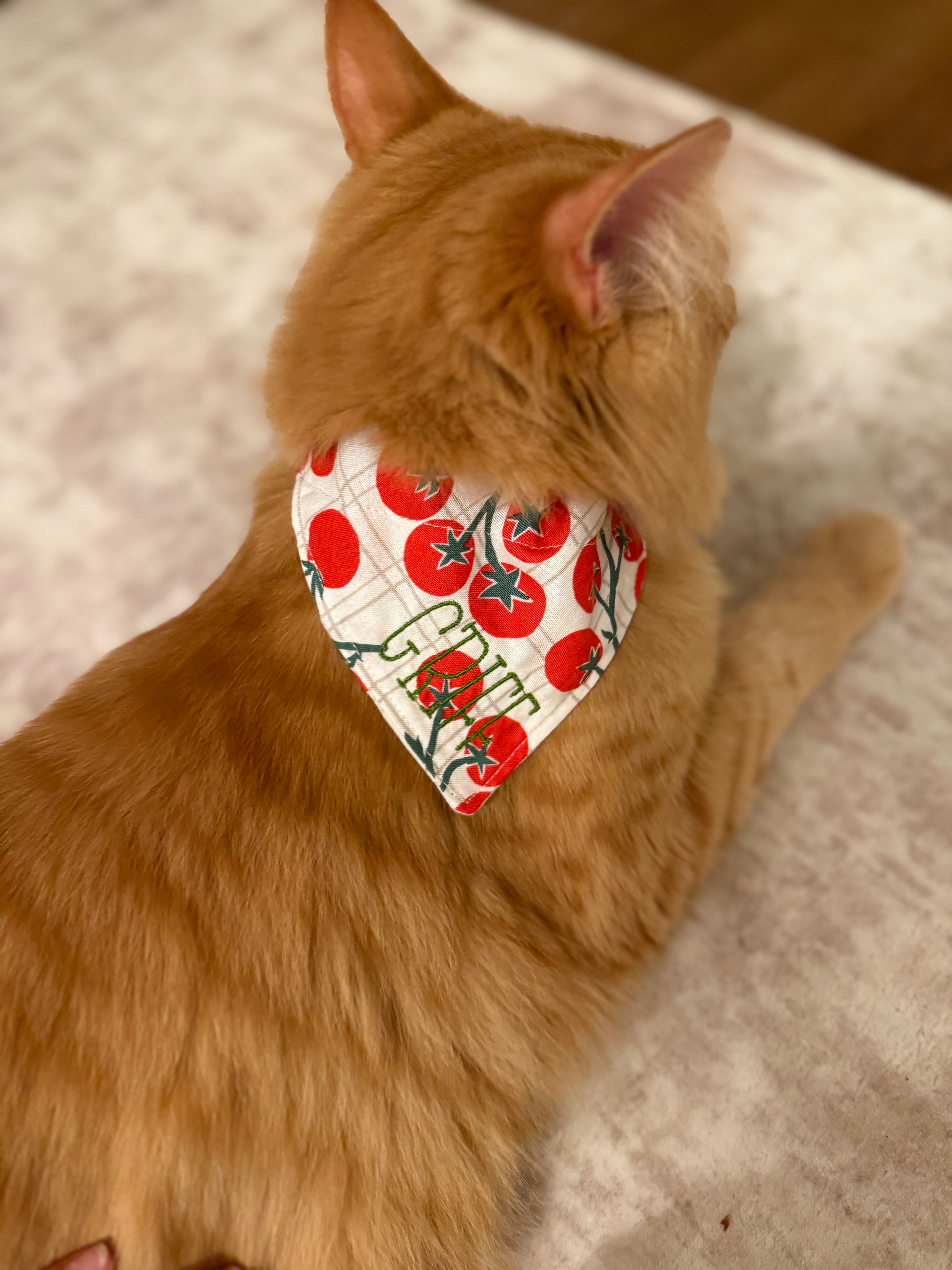Fresh Off the Vine Pet Bandana
