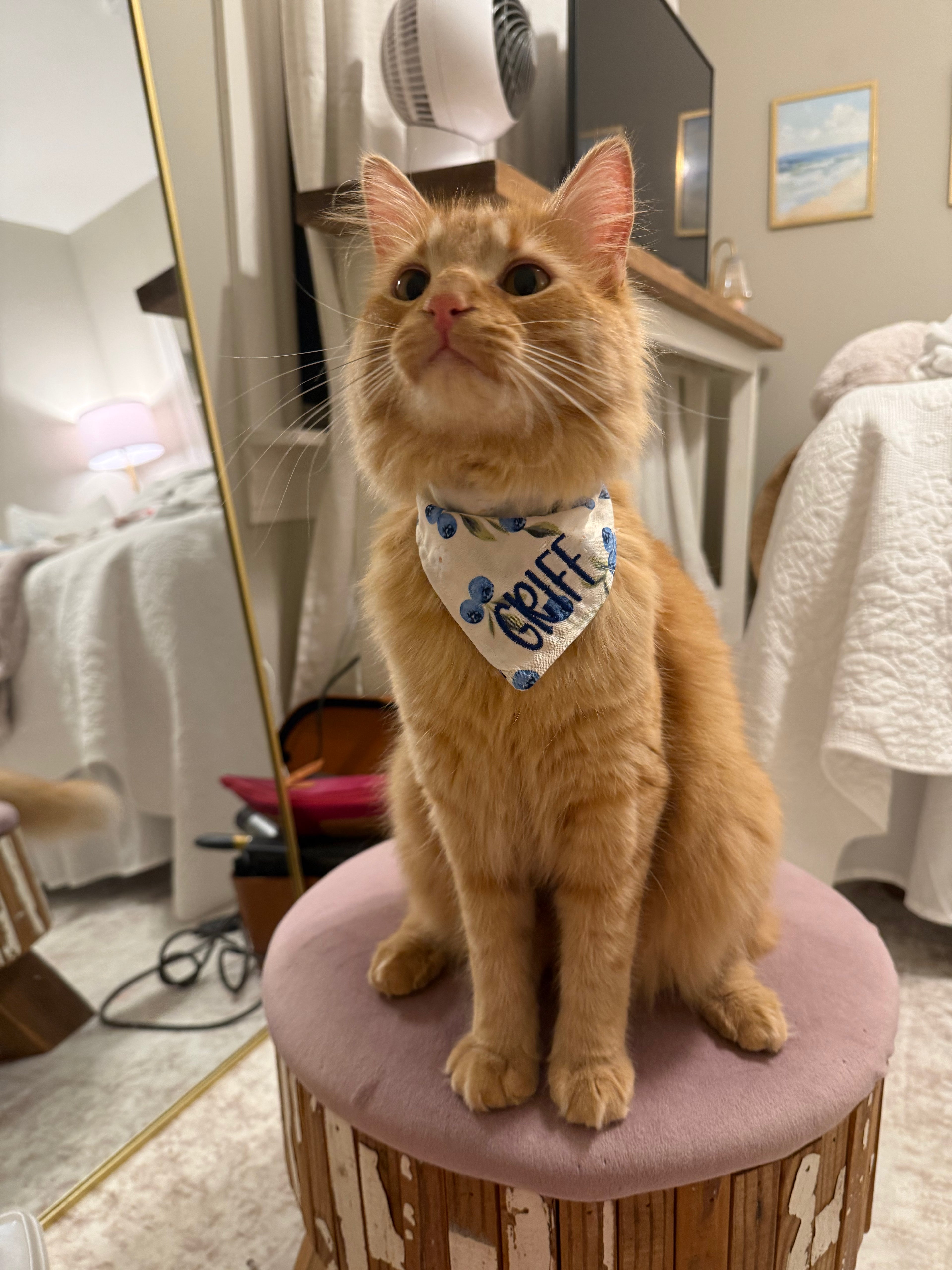 Berry Cute Pet Bandana